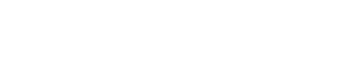 DIGI PRES Tłocznia płyt winylowych Logo